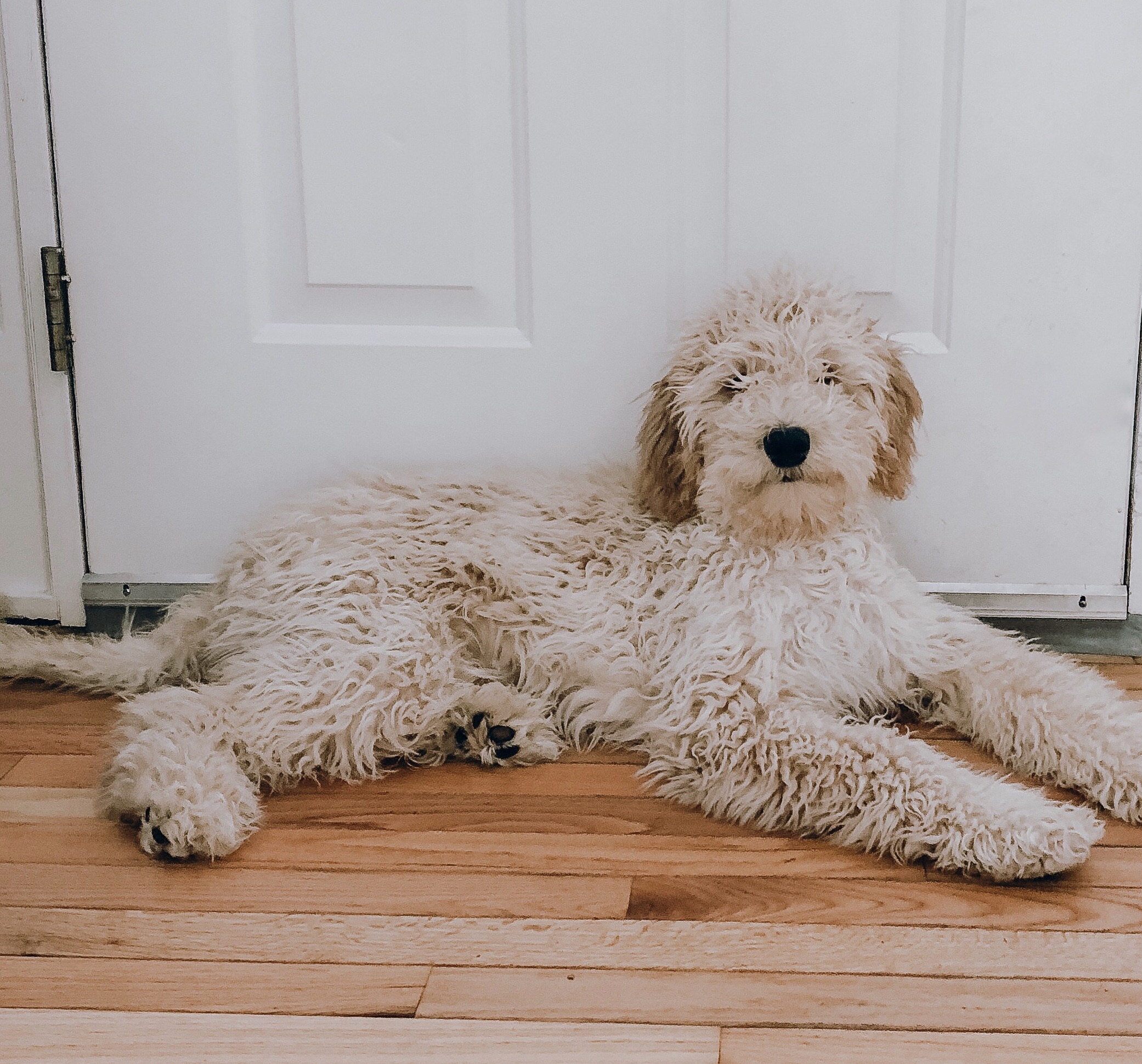 facetune_17-02-2019-19-46-07