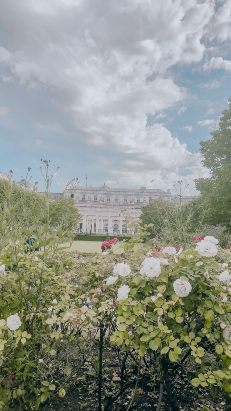 937de831-4ef3-44bb-8359-4ea95f07b8f2